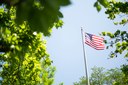 american flag through trees. kat-combs-1plACMLgtew-unsplash.jpg