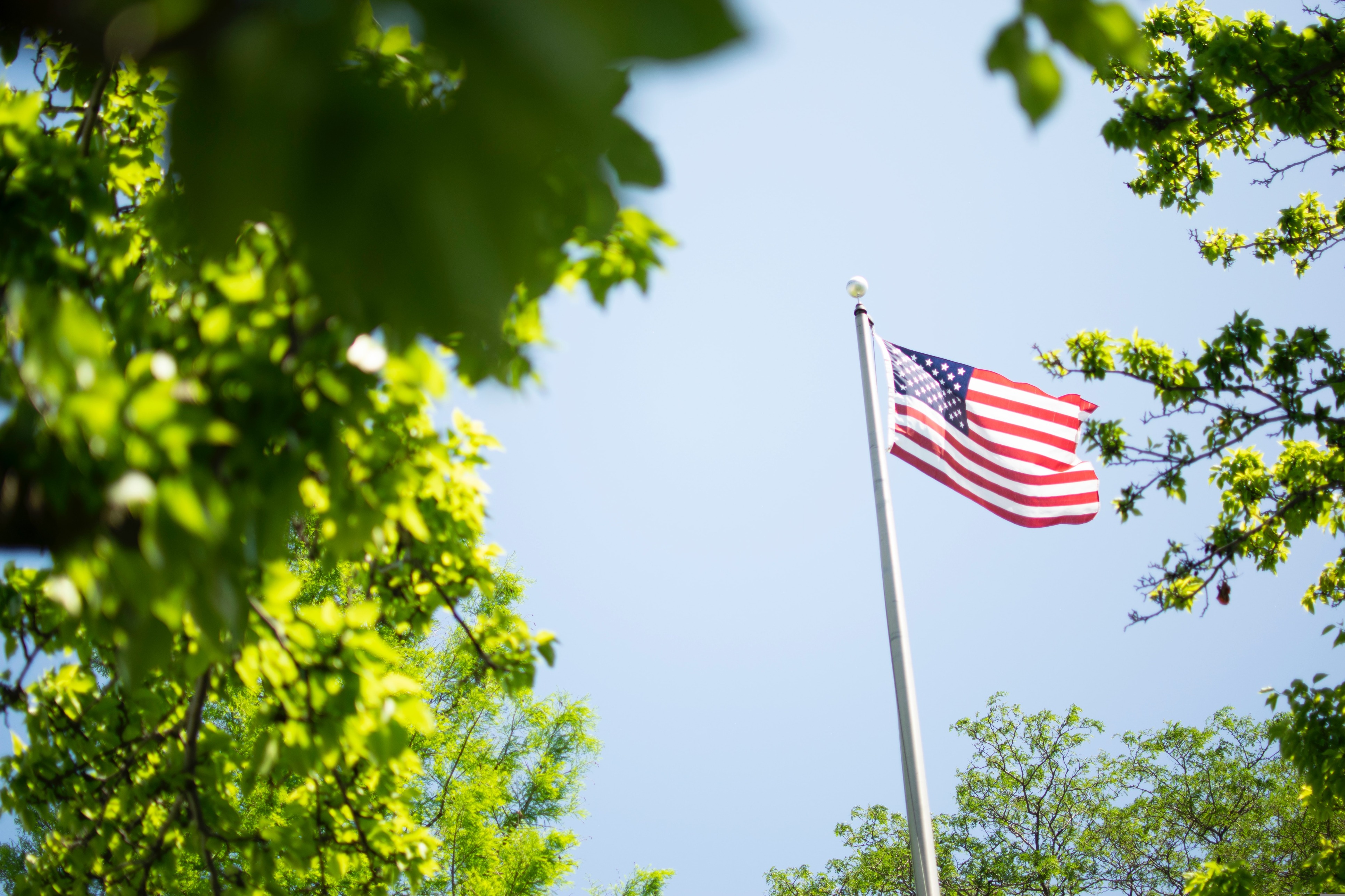 american flag through trees. kat-combs-1plACMLgtew-unsplash.jpg